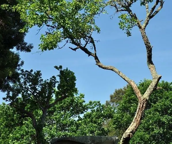 Angelas - Casa Da Eira